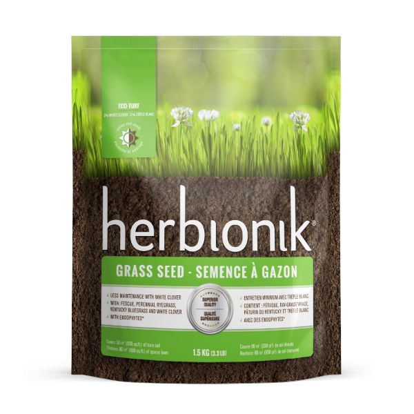 culture hydroponique et semis gazon hiver