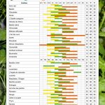 culture hydroponique et semis herbes aromatiques