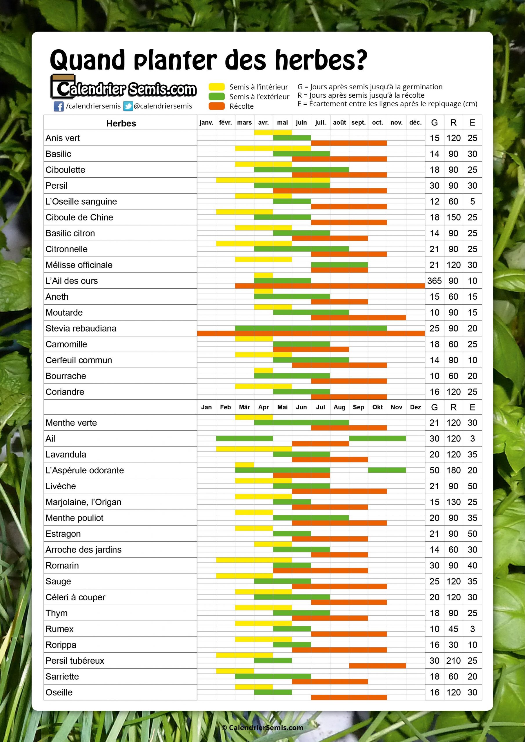 culture hydroponique et semis herbes aromatiques