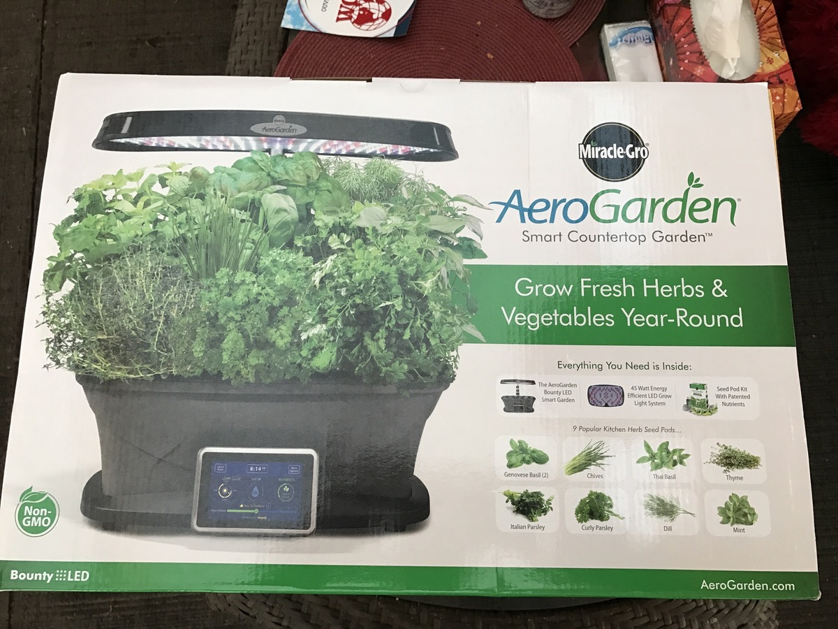 culture hydroponique et semis lavande