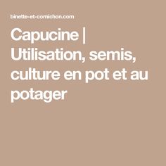 culture hydroponique et semis zoysia tenuifolia