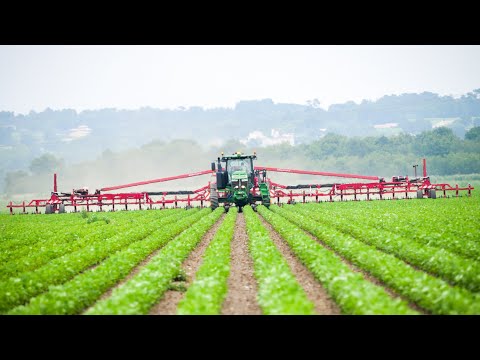 culture hydroponique et youtube semis mais 2019