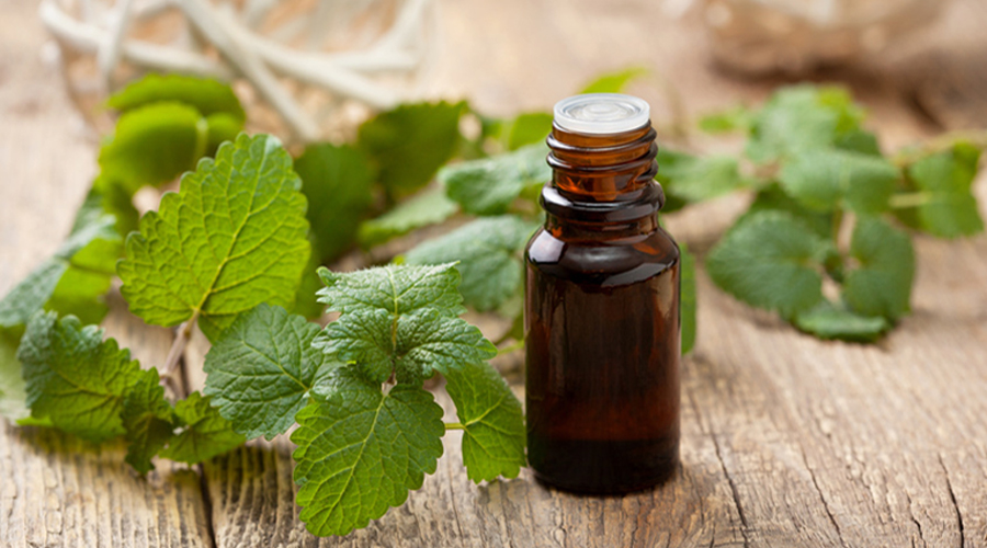 huile essentielle et huile essentielle de menthe poivrée fait maison