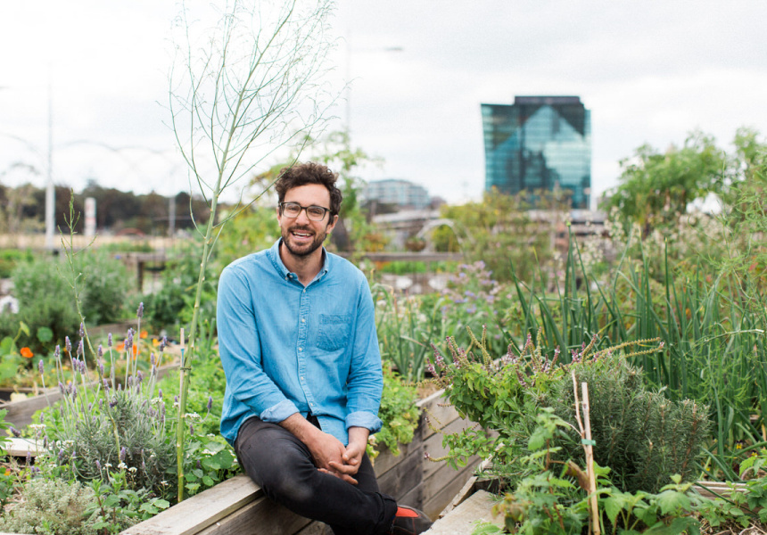 Comment enfin démarrer ce jardin végétarien: conseils pour les débutants