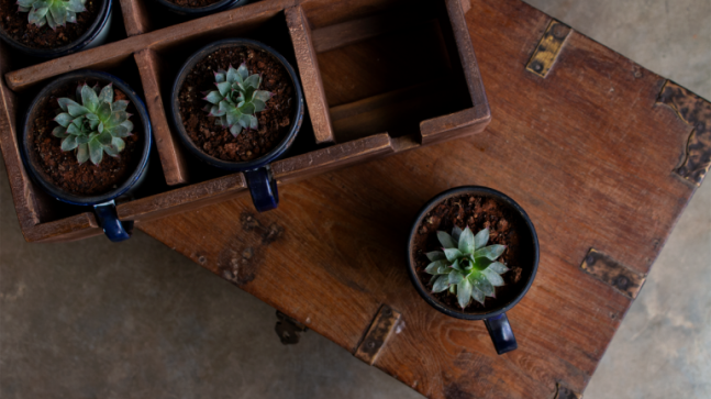 Passez au vert – Nouvelles Web exclusives