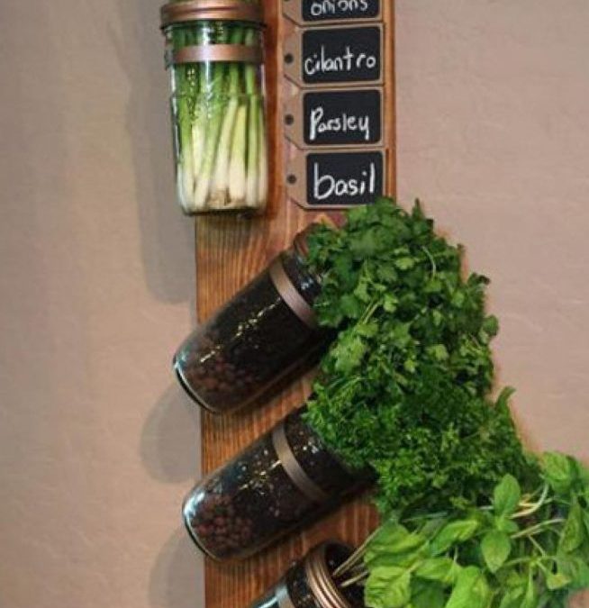 Faire Pousser Fines Herbes Maison