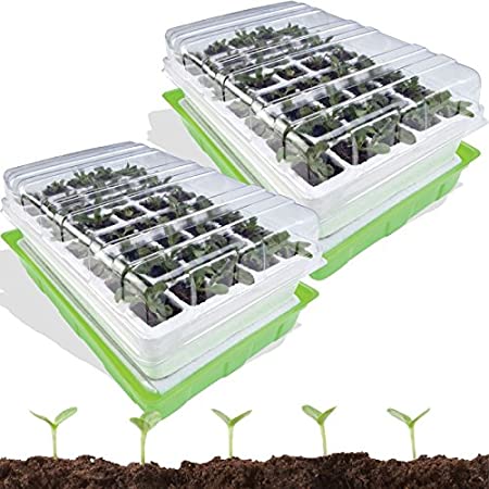 Kit De Germination