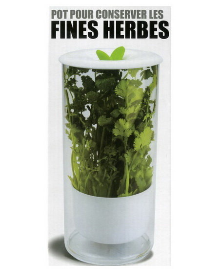 Pot Pour Conserver Fines Herbes
