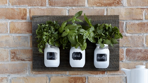 Pots Pour Fines Herbes