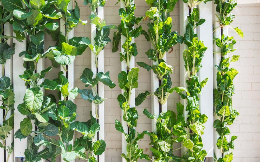 Smart Farm – Système de jardin vertical avec tour hydroponique