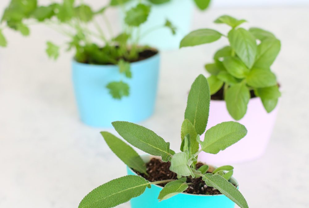 14 idées de bricolage brillantes pour les intérieurs de jardin