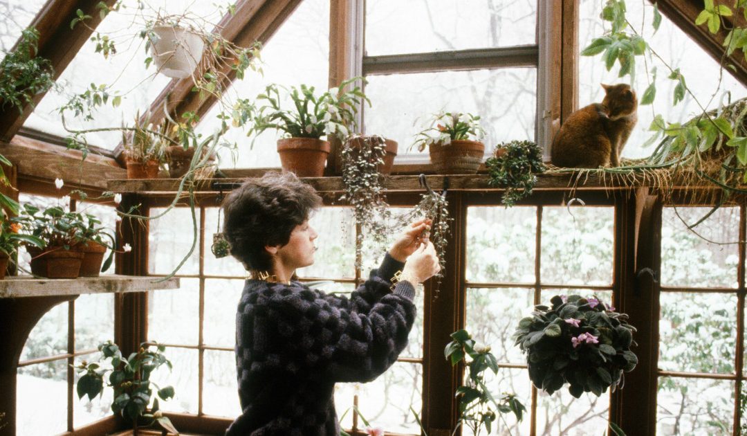 14 meilleurs kits de jardin intérieur: 2019 | Le stratège