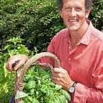Cherchez la victoire: le guide indispensable de Monty Don pour cultiver votre jardin d'herbes aromatiques à la maison