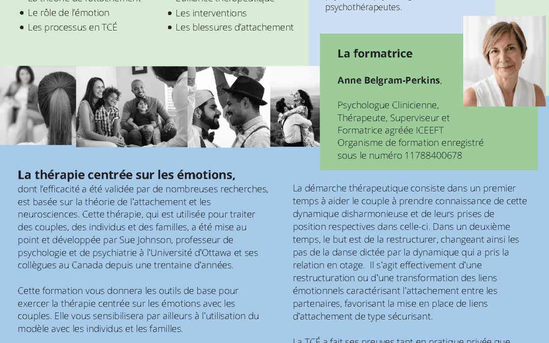 émotion de base – formation