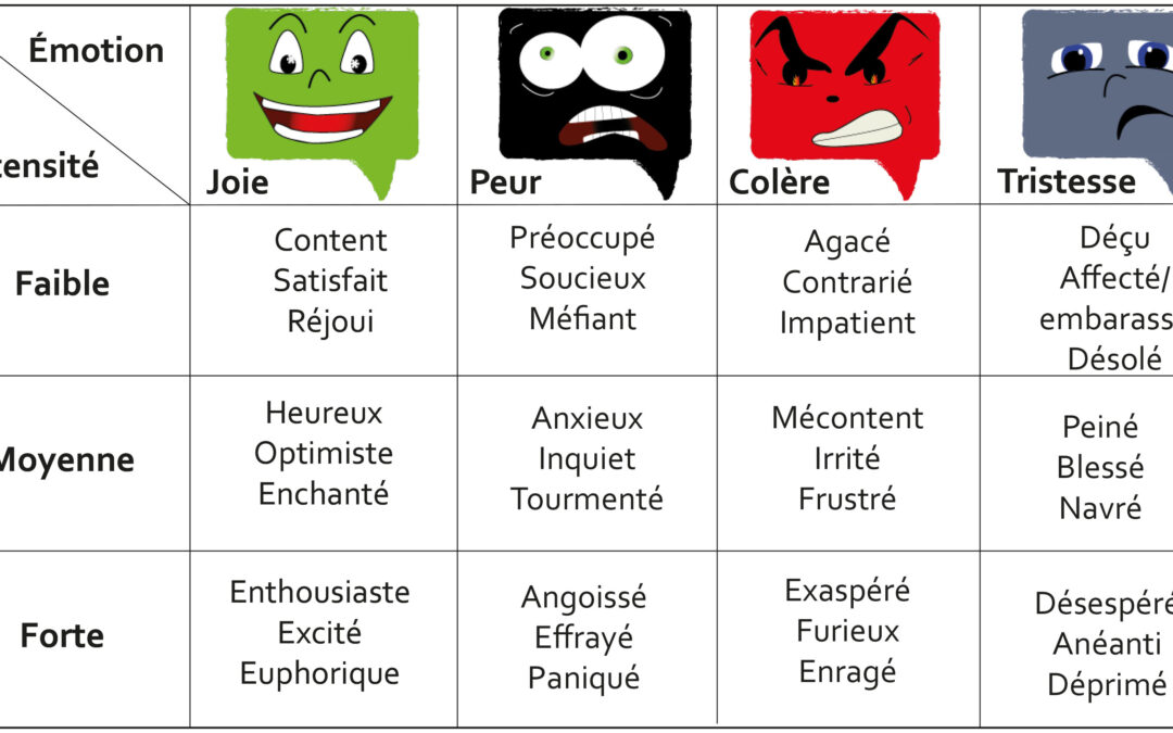 émotion la colère – formation