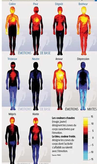 émotion neutre – témoignage