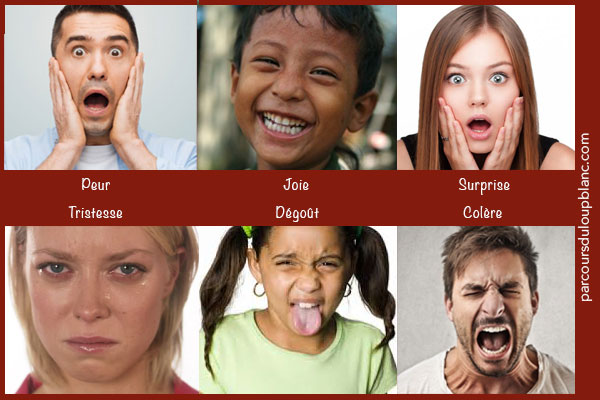 émotion ou sentiment – témoignage