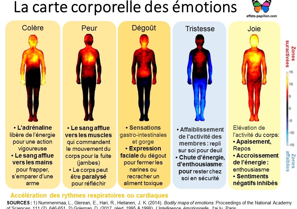 émotion réaction physiologique – libérer vos peurs