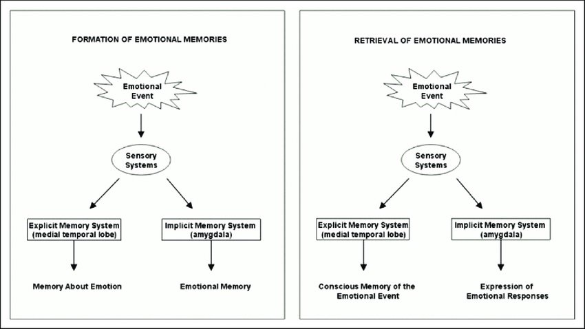 emotion zero – formation