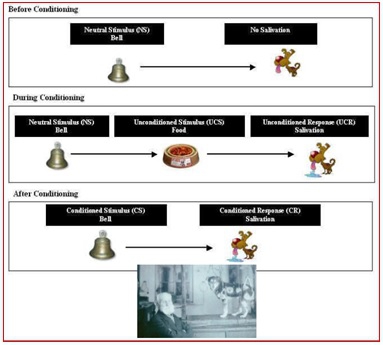 la réaction émotionnelle conditionnée – libérer votre potentiel