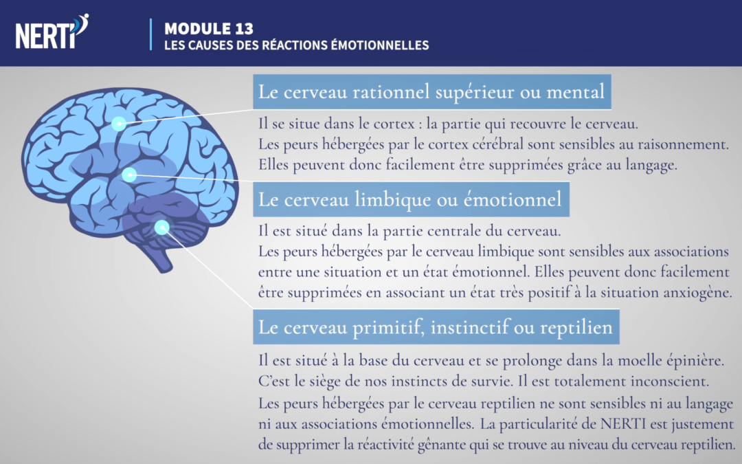 methode de nerti – formation
