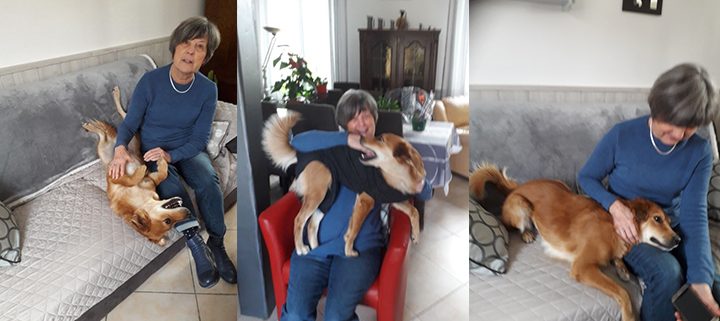 phobie des chien – programme