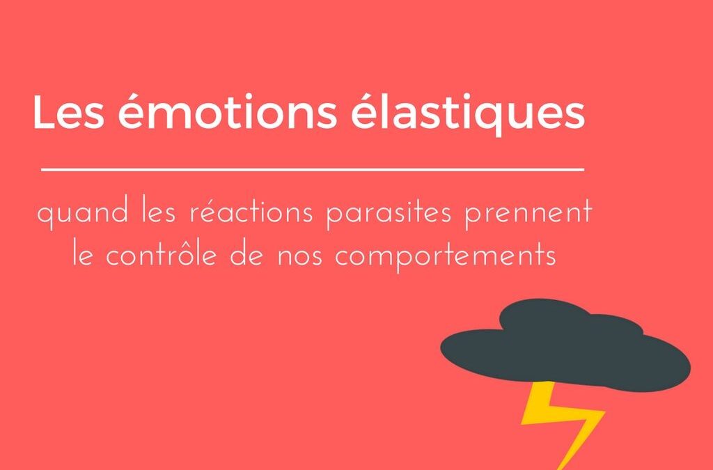 réactions émotionnelles excessives – programme