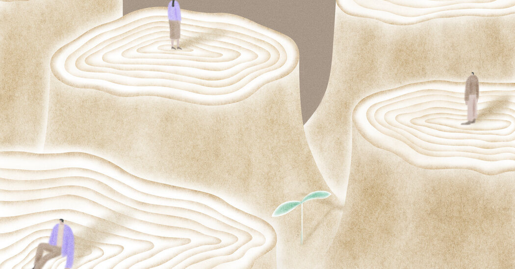 Vous avez de l&rsquo;anxiété climatique?  Ces personnes font quelque chose à ce sujet– Comment guérir