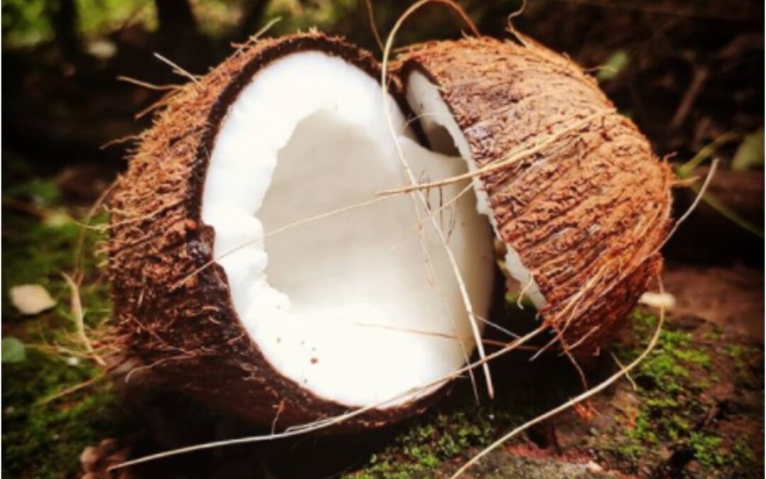 Pourquoi l&rsquo;huile de noix de coco est la meilleure huile capillaire »TechnoCodex– Comment s&rsquo;en sortir