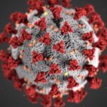 Image COVID-19 |  Comment les illustrateurs ont créé le modèle de coronavirus

 - Comment guérir