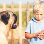 Cynophobie: comprendre la peur des chiens