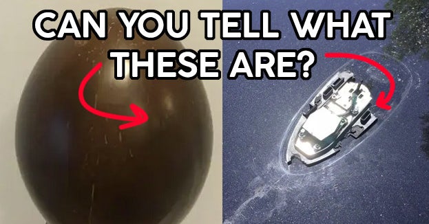 15 photos fascinantes de choses que vous ne vous attendiez probablement jamais à voir– Comment guérir