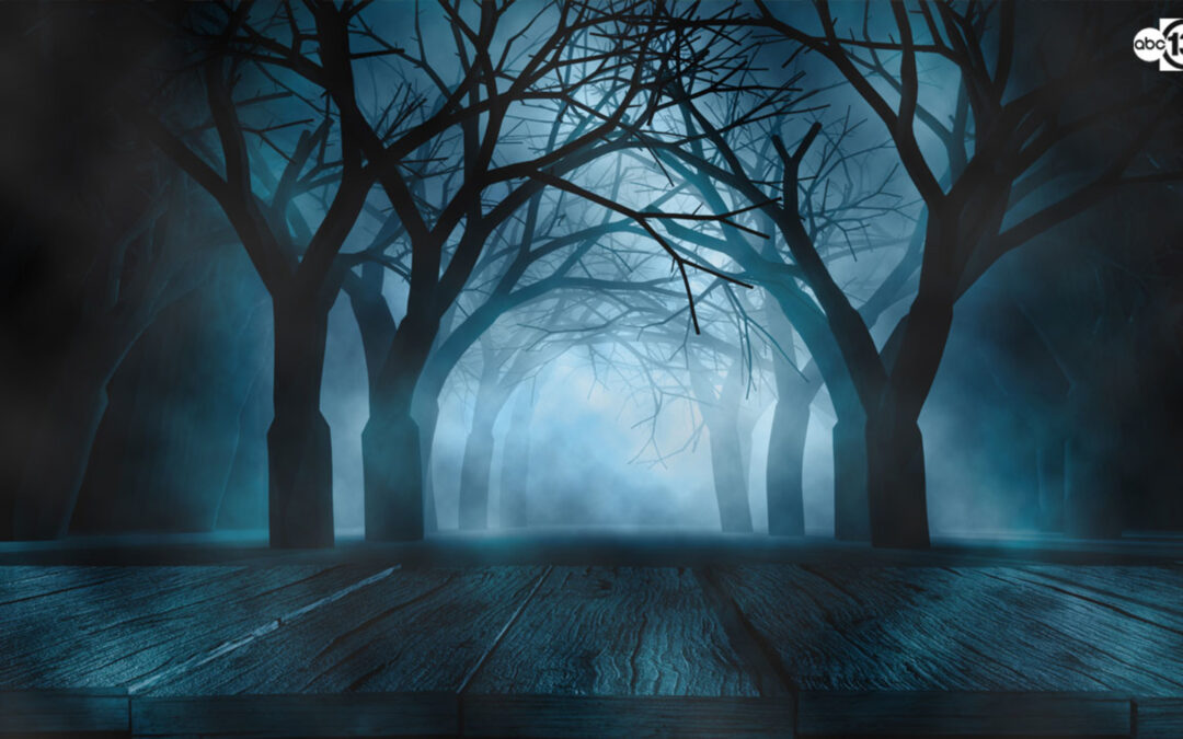 Les maisons hantées les plus populaires de Houston – ABC13 Houston