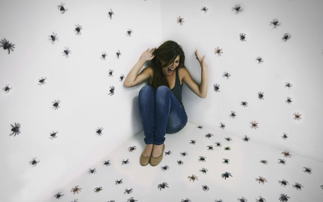 Pourquoi les humains ont peur des insectes |  Mental Floss