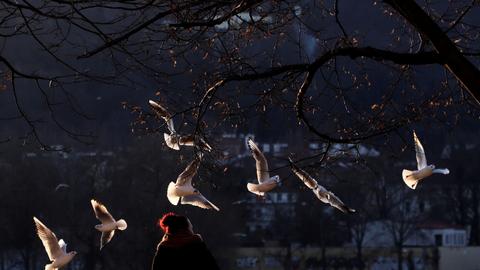 Comment mieux se concentrer: une leçon– Comment guérir