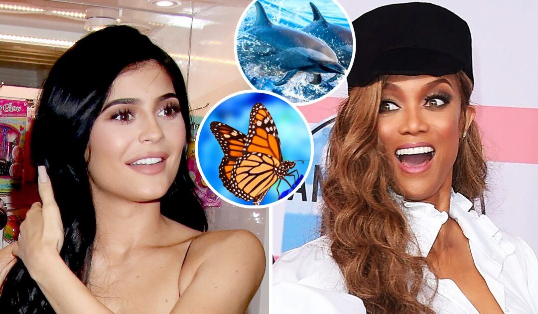 Kylie Jenner, Tyra Banks et plus– Comment guérir