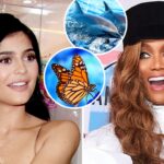 Kylie Jenner, Tyra Banks et plus

 - Comment guérir