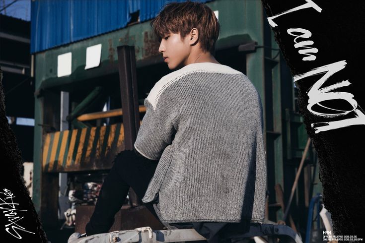 Profil et faits de Han (Stray Kids) (mis à jour!)– Comment guérir