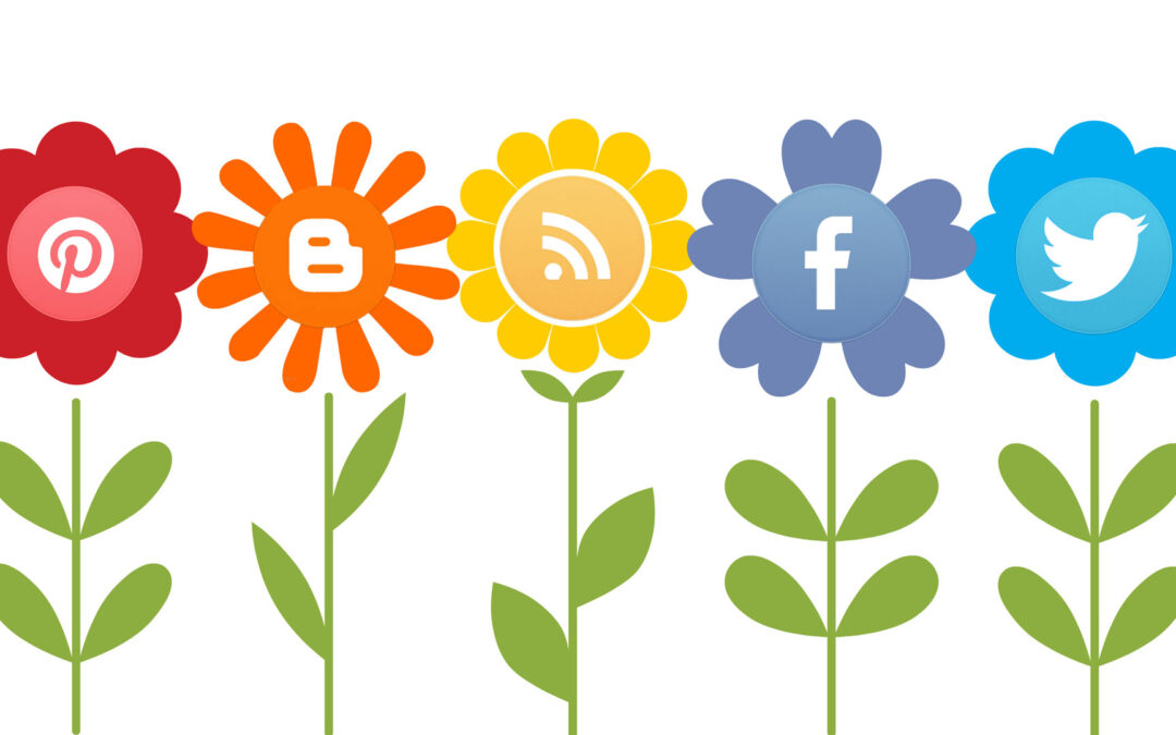 #ReclaimSocial: 6 étapes pour améliorer vos médias sociaux et votre santé mentale– Comment guérir