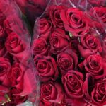 Saint-Valentin: apprendre d'une histoire de romance