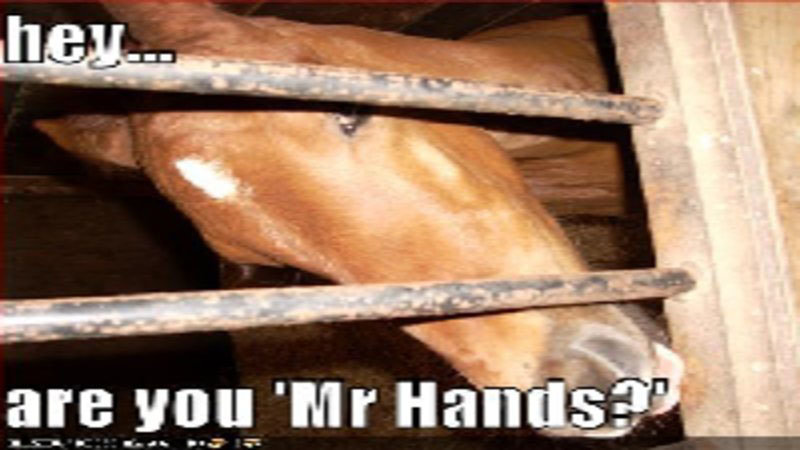 M. Hands |  Connaissez votre mème– Comment guérir
