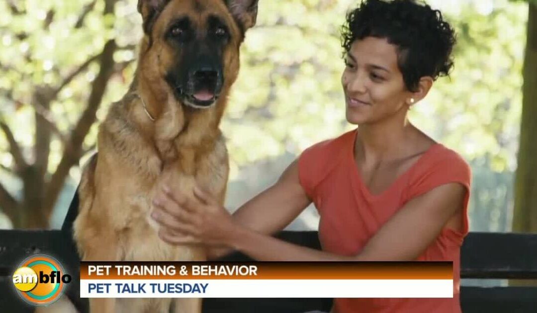 Pet Talk Tuesday – Dressage et comportement des animaux