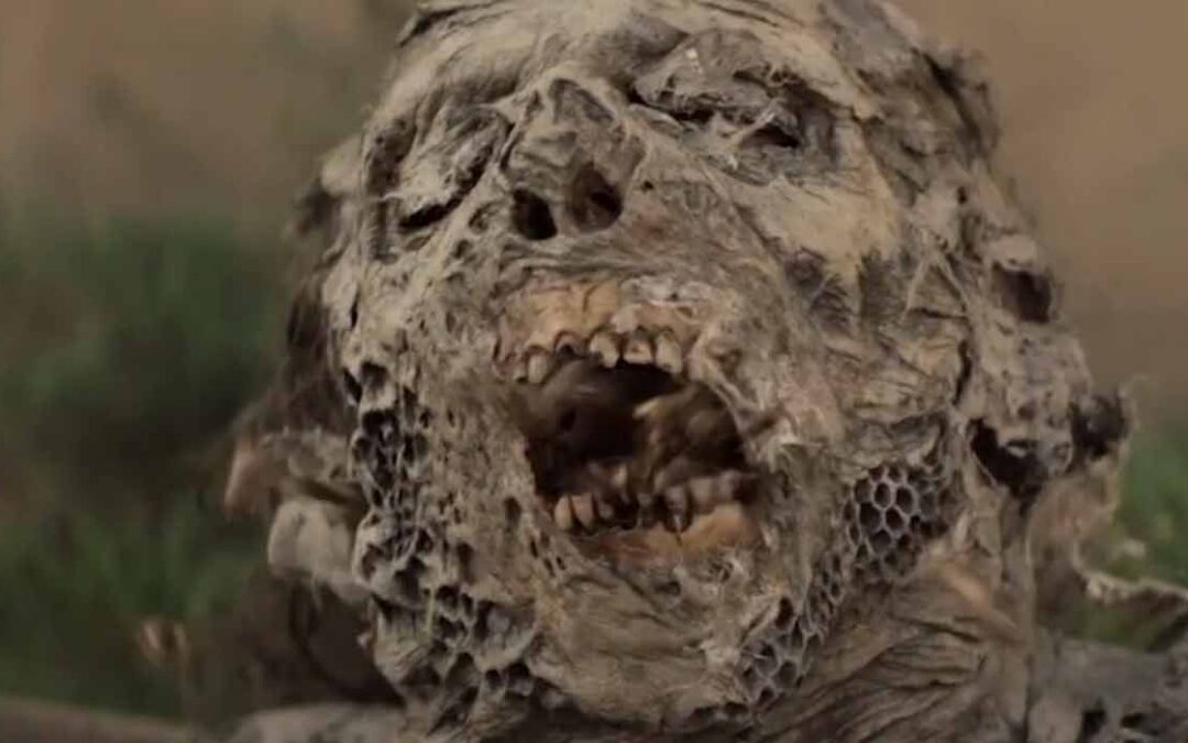 Les zombies de World Beyond sont les plus dégoûtants de la franchise– Comment guérir